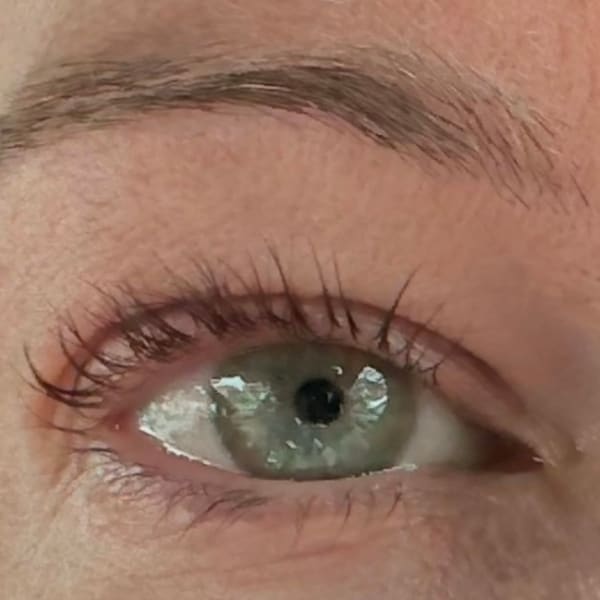 LadyBee Lash&Brow - permanent makeup in Middletown, CT