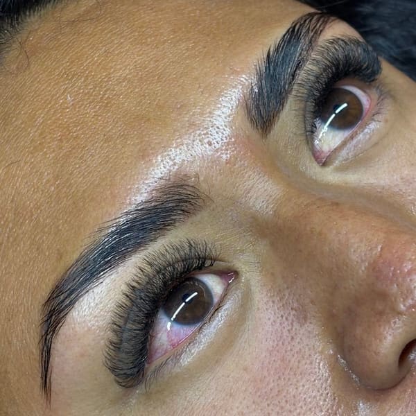 Lash & Brows, by Aida Santiago - permanent makeup in Sunnyvale, CA