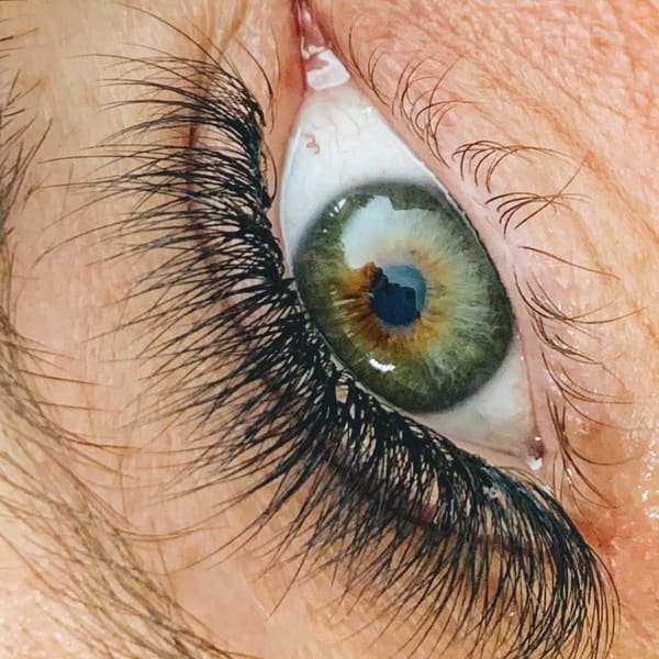 LASH815 - permanent makeup in Loves Park, IL