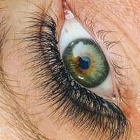 LASH815 - permanent makeup work