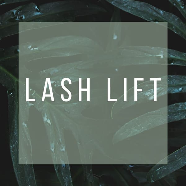 Lashes a la Mode - permanent makeup in Plano, TX