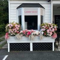 Lashh Vault - permanent makeup work