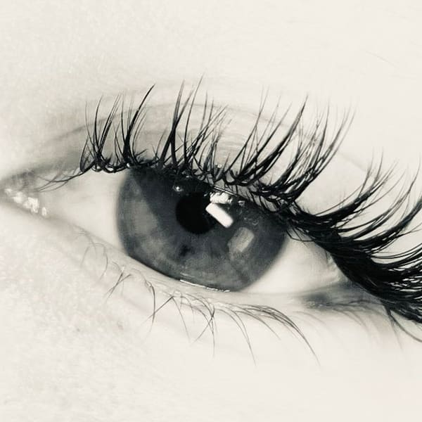 LashOut by Hana - permanent makeup in Oakland, CA