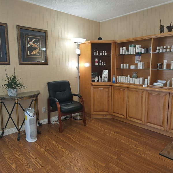 Lasting Impression Corrective Skincare - permanent makeup in San Pedro, CA