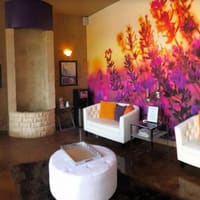 Lavender Falls Face And Body Spa - permanent makeup work