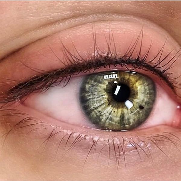 Le beauty beautique - permanent makeup in Murrieta, CA