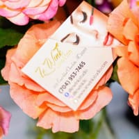 Le Wink Lashes &Brows - permanent makeup work