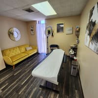 Lily PMU Artist - permanent makeup work