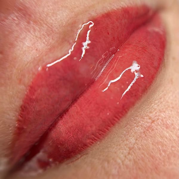 Lips by Lemieux - permanent makeup in Dunedin, FL