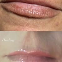 Lipz by Lex - permanent makeup work