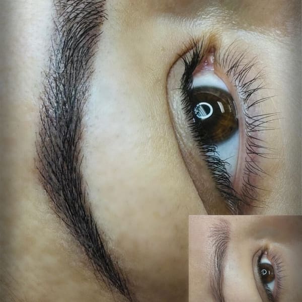 Lisca beauty school - permanent makeup in Naperville, IL