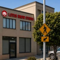 Lotus Brow Studio - permanent makeup work