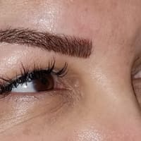 Love My Brows - permanent makeup work