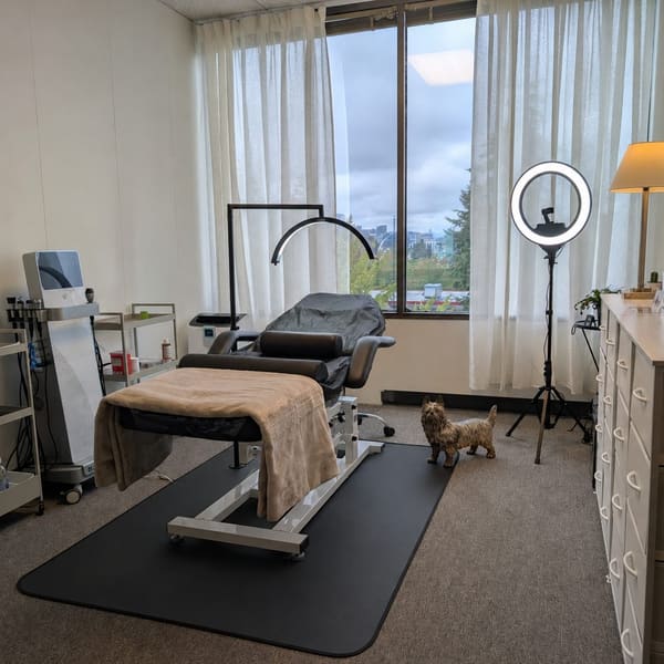 Lumi SMP & PMU - permanent makeup in Bellevue, WA