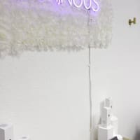 Luminous By Lily - permanent makeup work