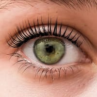 Lush Lashes US - permanent makeup work