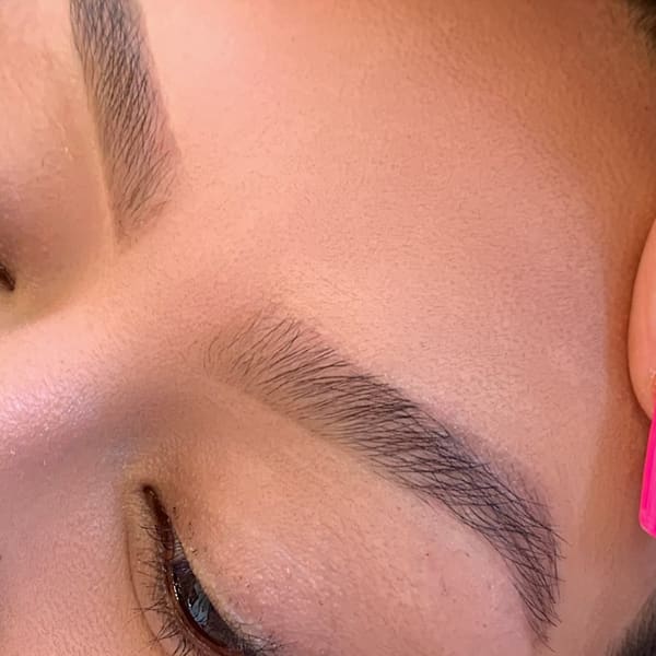 LUX Brows & Beauty - permanent makeup in Hinsdale, IL