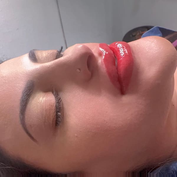 Luz urquia Artista en cejas ( Microblending,powder brows,labios , delineados de ojos - permanent makeup in Sanford, FL