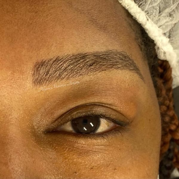 Lyss Brow Artistry - permanent makeup in Pontiac, MI