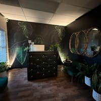 Majestic Esthetics - permanent makeup work