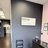 Metta Faces - permanent makeup work
