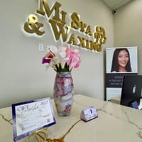Mi Spa & Waxing - permanent makeup work