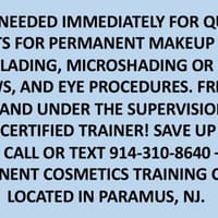 Miche Permanent Cosmetics/Microblading Training Center - permanent makeup work