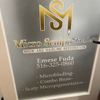 Micro Sculpt Studios - permanent makeup work