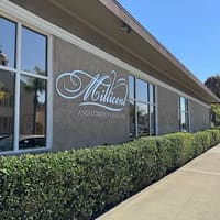 Millicent and Company - permanent makeup work