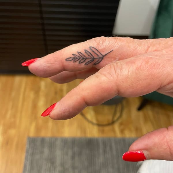 Minneapolis Brow Microblading - permanent makeup in St Louis Park, MN