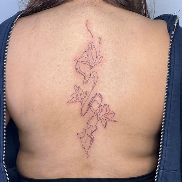 Miss Ink Aesthetics - permanent makeup in Carrollton, TX