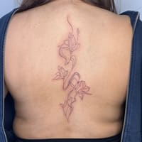 Miss Ink Aesthetics - permanent makeup work