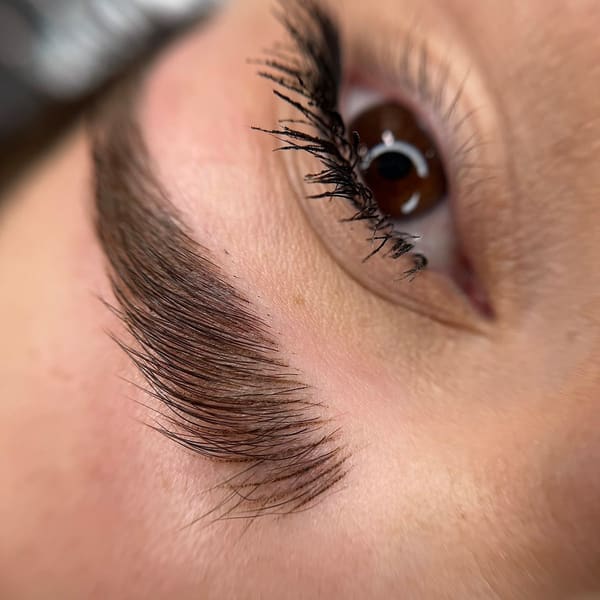 Modest Ink PMU - permanent makeup in Salt Lake City, UT
