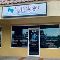 Mojo Master Permanent Makeup - permanent makeup work