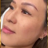 Moon Brow & Beauty - Microblading Eyebrows Nano Hairstroke Durham NC - permanent makeup work