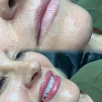 Ms. Fitz Beauty - permanent makeup work