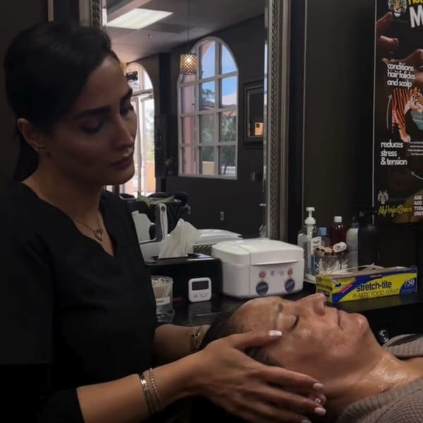 My Perfect Brows - permanent makeup in Los Angeles, CA