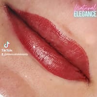 Natural Elegance-Permanent Makeup and Advanced Aesthetics by Rebecca Hale llc. - permanent makeup work