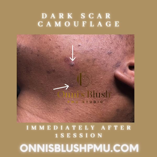 Onni's Blush PMU Studio - permanent makeup in Jacksonville, FL
