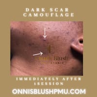Onni's Blush PMU Studio - permanent makeup work
