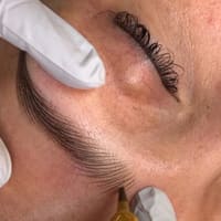Perfect Brows Microblading Skincare Studio - permanent makeup work