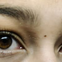 Perfect Brows - permanent makeup work
