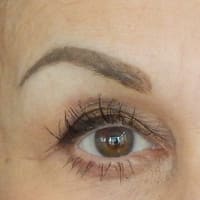 Permanent Facial Makeup by Judy - permanent makeup work