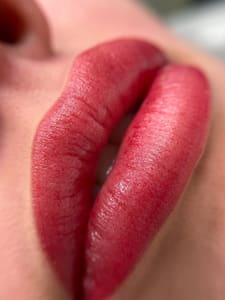 Permanent makeup work by 5 Star PMU Academy in Dallas, TX