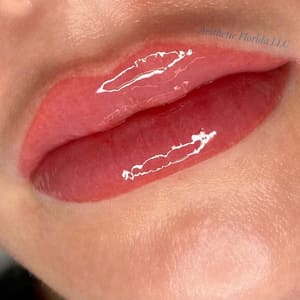 Permanent makeup work by Aesthetic Florida LLC in Tampa, FL