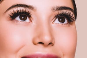 Permanent makeup work by Ametrine Lash & Beauty Bar in Baltimore, MD