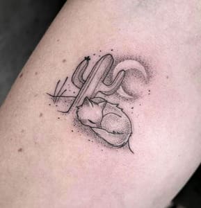 Permanent makeup work by Blink Ink PMU in Yuma, AZ