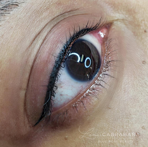 Permanent makeup work by Blue Rose Beauty and Brow Artistry in Little Rock, AR