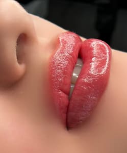Permanent makeup work by Brazilian Brows by Mah Lewis in Wesley Chapel, FL