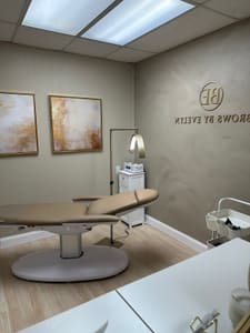 Permanent makeup work by Brows by Evelyn in Spring Hill, FL